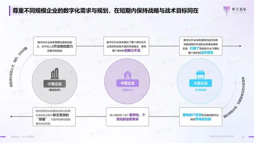 2023年中国企业低代码与无代码产品应用与实践研究 计算机系统服务的转型与机遇